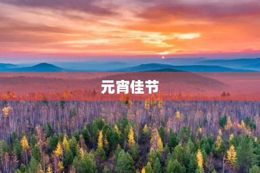 元宵佳节，花灯璀璨