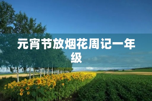 元宵节放烟花周记一年级