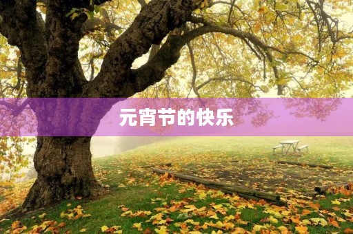 元宵节的快乐 元宵节的快乐