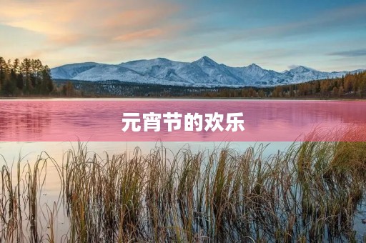 元宵节的欢乐 元宵节的欢乐