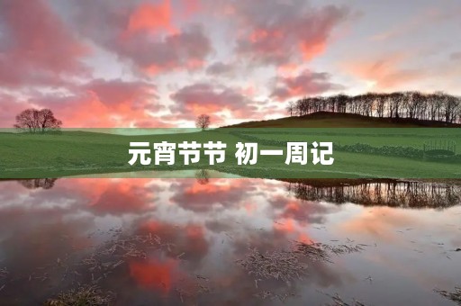 元宵节节 初一周记