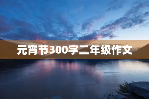 元宵节300字二年级作文