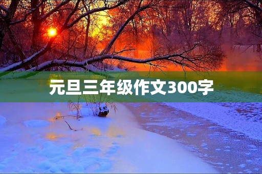 元旦三年级作文300字 元旦三年级作文300字