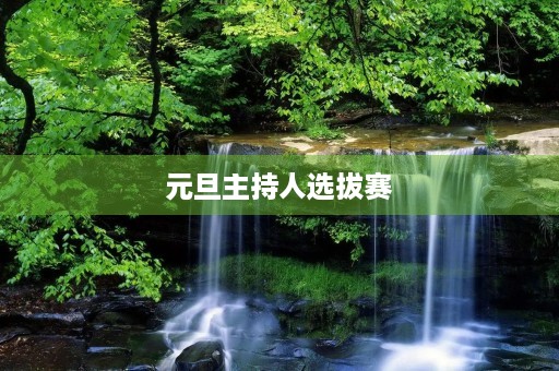 元旦主持人选拔赛