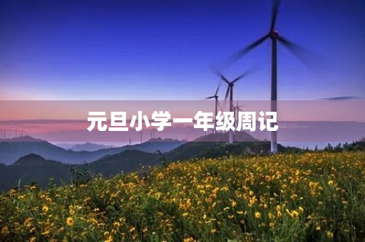 元旦小学一年级周记