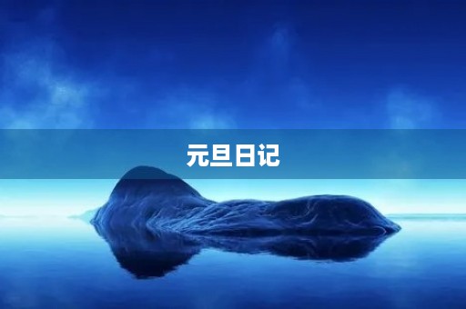 元旦日记 元旦日记