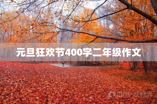 元旦狂欢节400字二年级作文