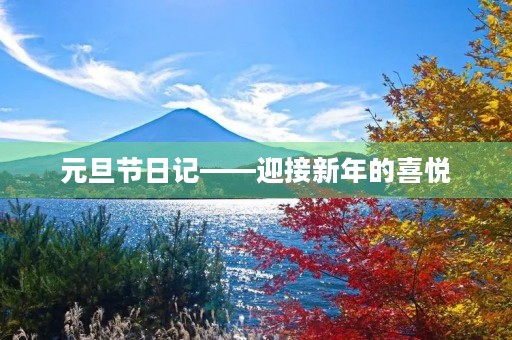 元旦节日记——迎接新年的喜悦