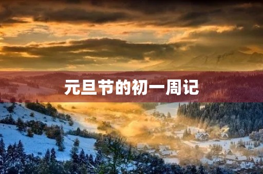 元旦节的初一周记 元旦节的初一周记