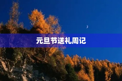 元旦节送礼周记