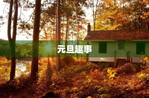 元旦趣事 元旦趣事