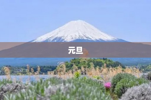 元旦，新年新开始