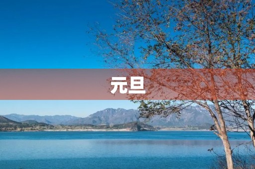 元旦 元旦