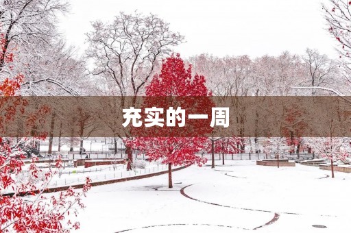充实的一周