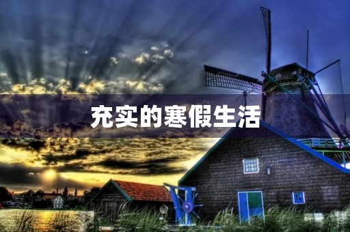 充实的寒假生活 充实的寒假生活