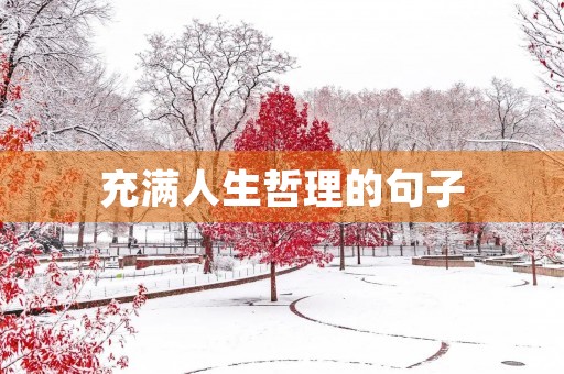 充满人生哲理的句子(充满人生哲理的句子,青春)
