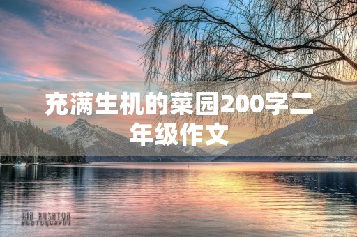 充满生机的菜园200字二年级作文