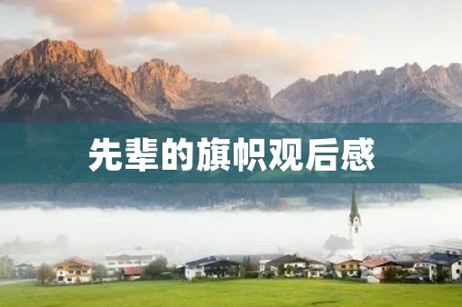 先辈的旗帜观后感