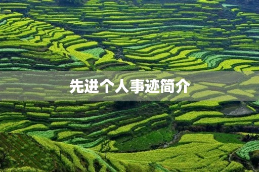 先进个人事迹简介 先进个人事迹简介