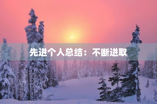 先进个人总结：不断进取，追求卓越