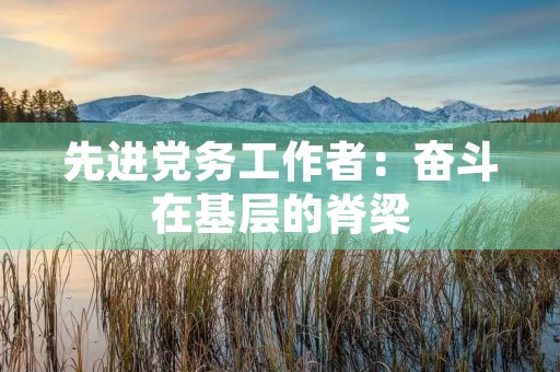 先进党务工作者：奋斗在基层的脊梁