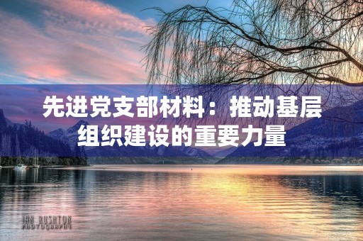 先进党支部材料:推动基层组织建设的重要力量 先进党支部材料:推动基层组织建设的重要力量