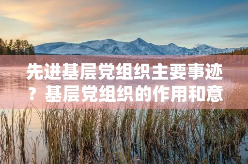 先进基层党组织主要事迹？基层党组织的作用和意义
