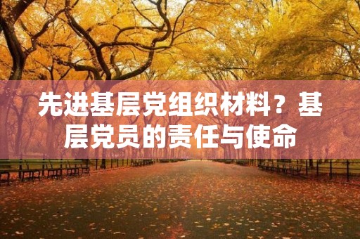 先进基层党组织材料？基层党员的责任与使命