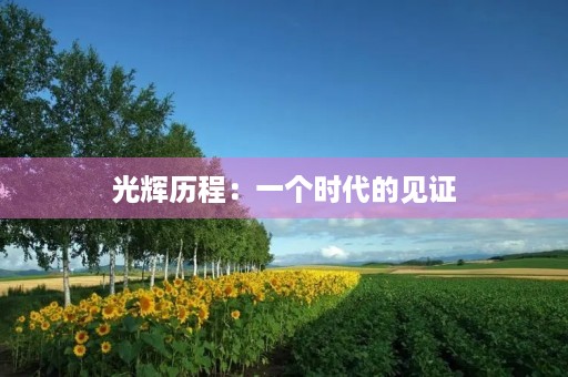 光辉历程：一个时代的见证