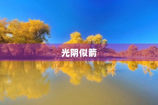 光阴似箭,日月如梭——中考满分作文记叙文800 光阴似箭,日月如梭——中考满分作文记叙文800