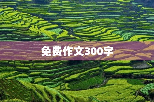 免费作文300字,助你打造高分作文! 免费作文300字,助你打造高分作文!