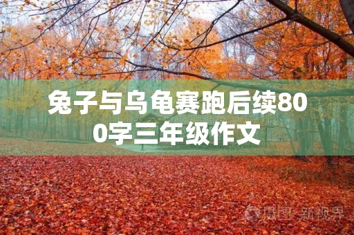 兔子与乌龟赛跑后续800字三年级作文
