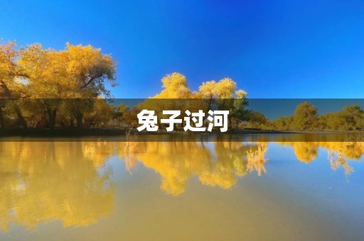 兔子过河，小心不要落水