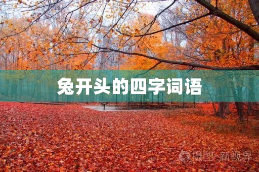 兔开头的四字词语 兔开头的四字词语