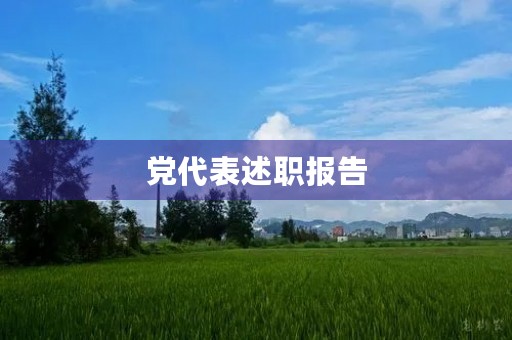 党代表述职报告，万能述职报告500字