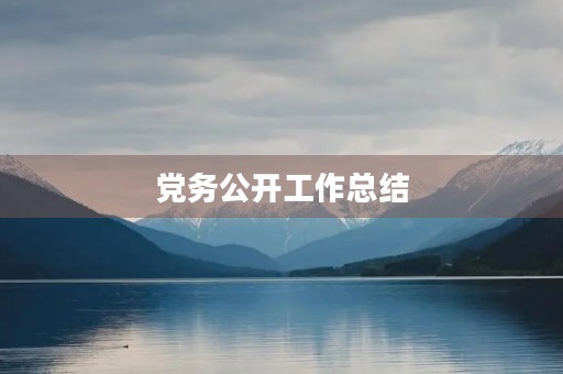 党务公开工作总结