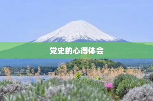 党史的心得体会