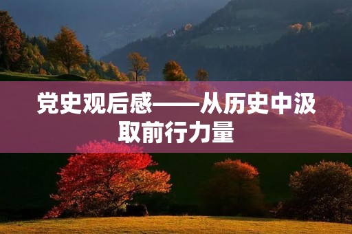 党史观后感——从历史中汲取前行力量 党史观后感——从历史中汲取前行力量