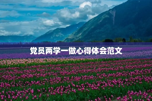 党员两学一做心得体会范文