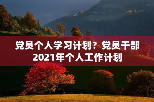 党员个人学习计划？党员干部2021年个人工作计划