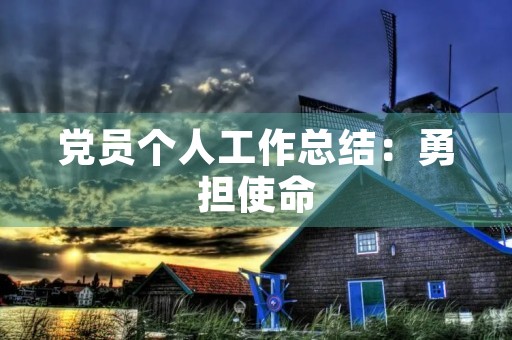 党员个人工作总结:勇担使命,锐意进取