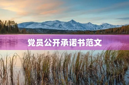 党员公开承诺书范文