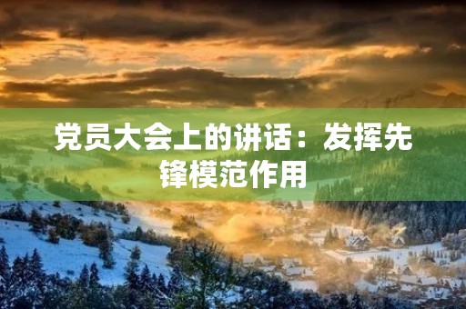 党员大会上的讲话：发挥先锋模范作用，为民服务