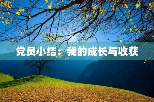 党员小结:我的成长与收获 党员小结:我的成长与收获