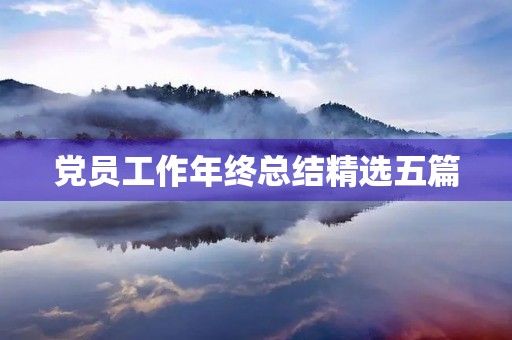 党员工作年终总结精选五篇