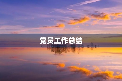 党员工作总结，共产党员的个人工作总结