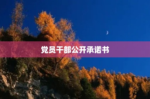 党员干部公开承诺书 党员干部公开承诺书