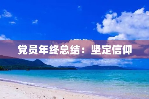 党员年终总结：坚定信仰，勇攀高峰