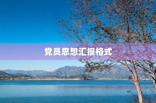 党员思想汇报格式