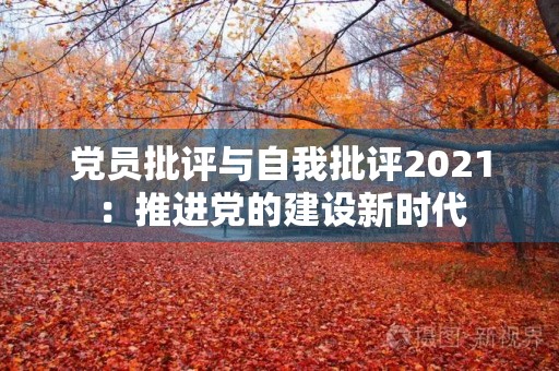 党员批评与自我批评2021:推进党的建设新时代 党员批评与自我批评2021:推进党的建设新时代